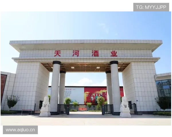 广厦新发展愿景与未来战略布局